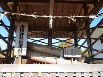 海椙神社 (15).JPG